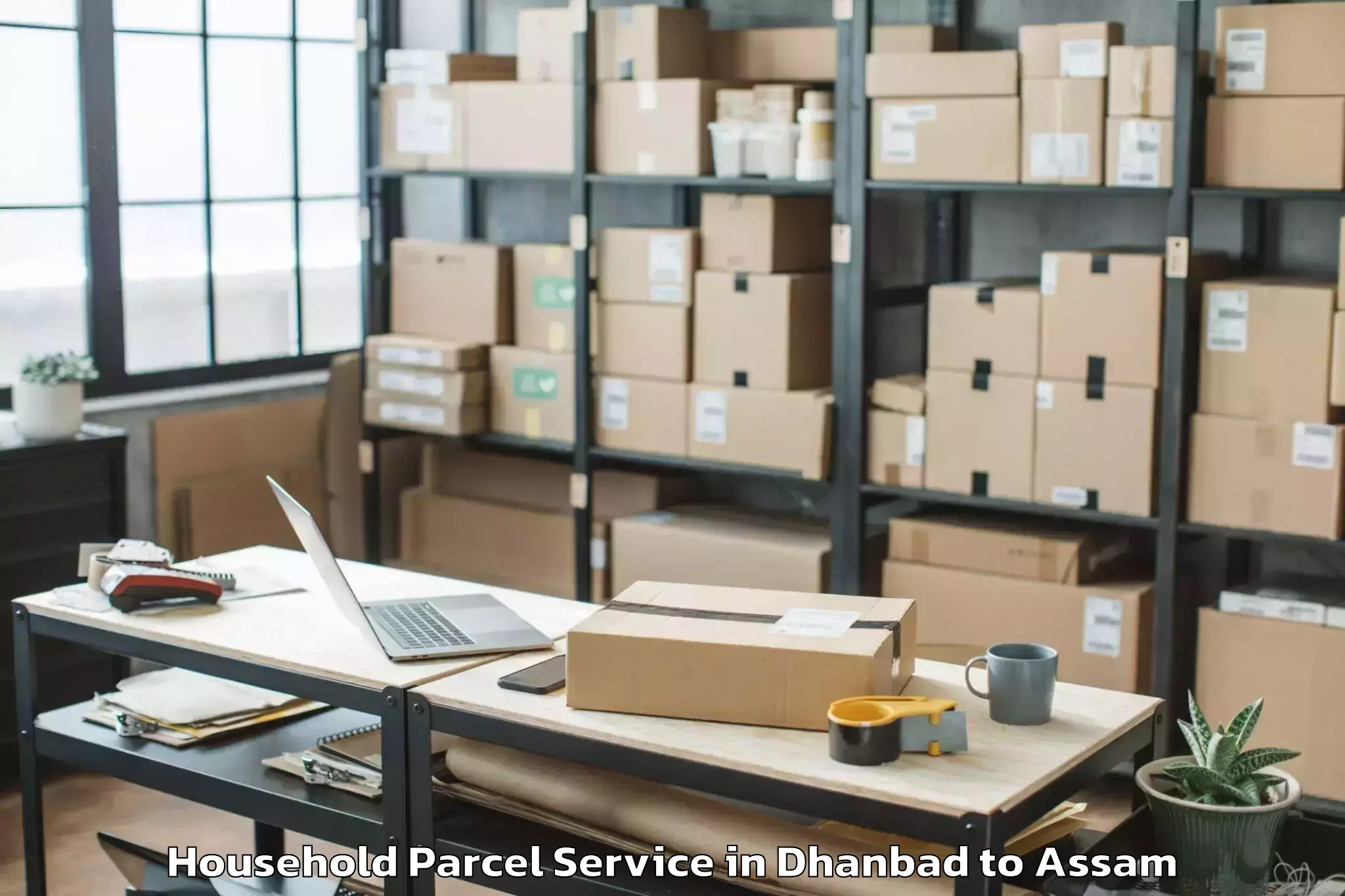 Trusted Dhanbad to Nagaon Household Parcel